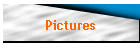 Pictures
