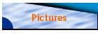 Pictures